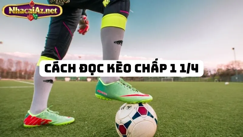 Cách đọc kèo chấp 1 1/4